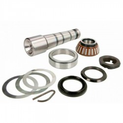 Perno mangueta - 7420590486