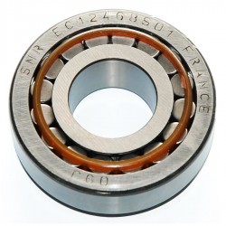 Rodamiento - 8200036243