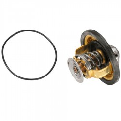 Termostato - 7701042512